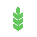 ?brizy media=wp 8601a91a30100c698521b64f3ca2969a
