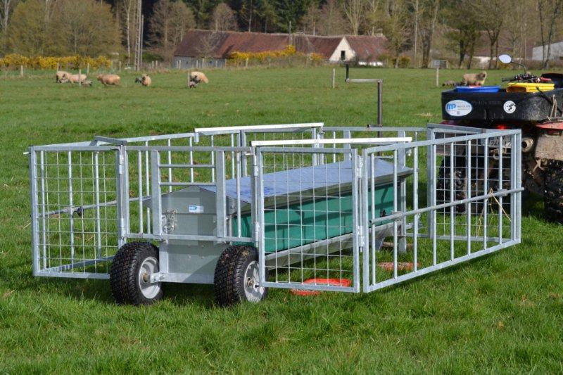 creep-feeding-and-yard-weaning-lambs-2-3-farm-table