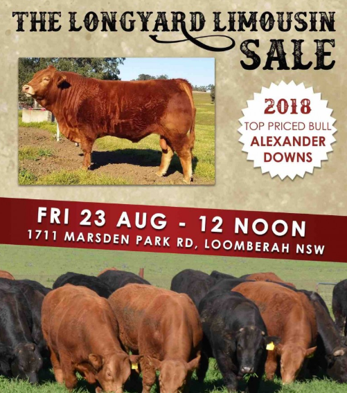 The 2019 Longyard Limousin Sale – Loomberah