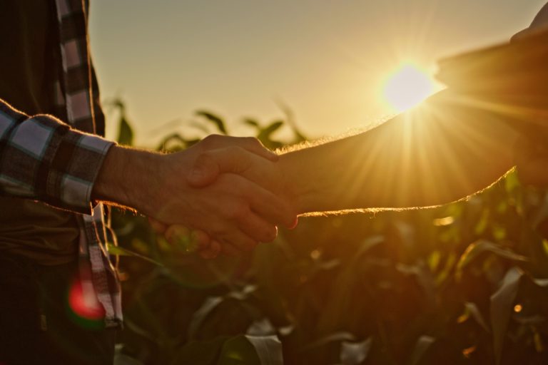 agistment agreement farm table