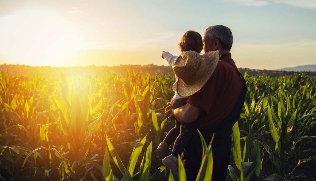 succession planning farm table