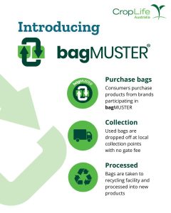 Bagmuster