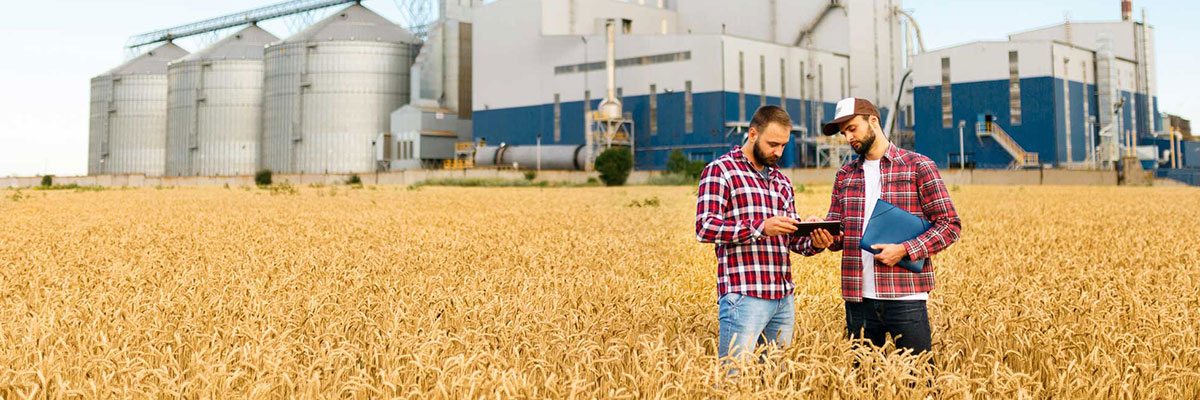 agriculture marketing farm table