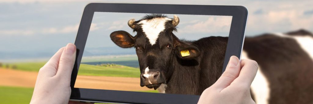 agriculture marketing social media farm table