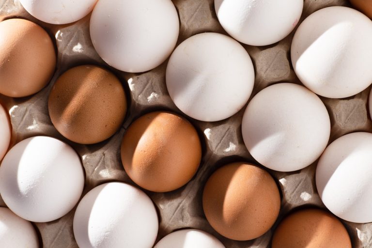 poultry knowledge hubs farm table