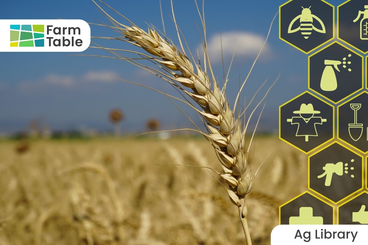 Ag Techs - Farm Table