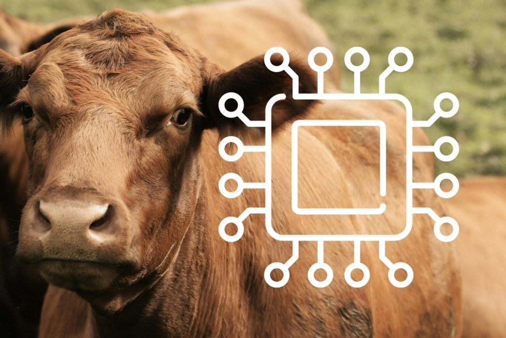 farm management software farm table