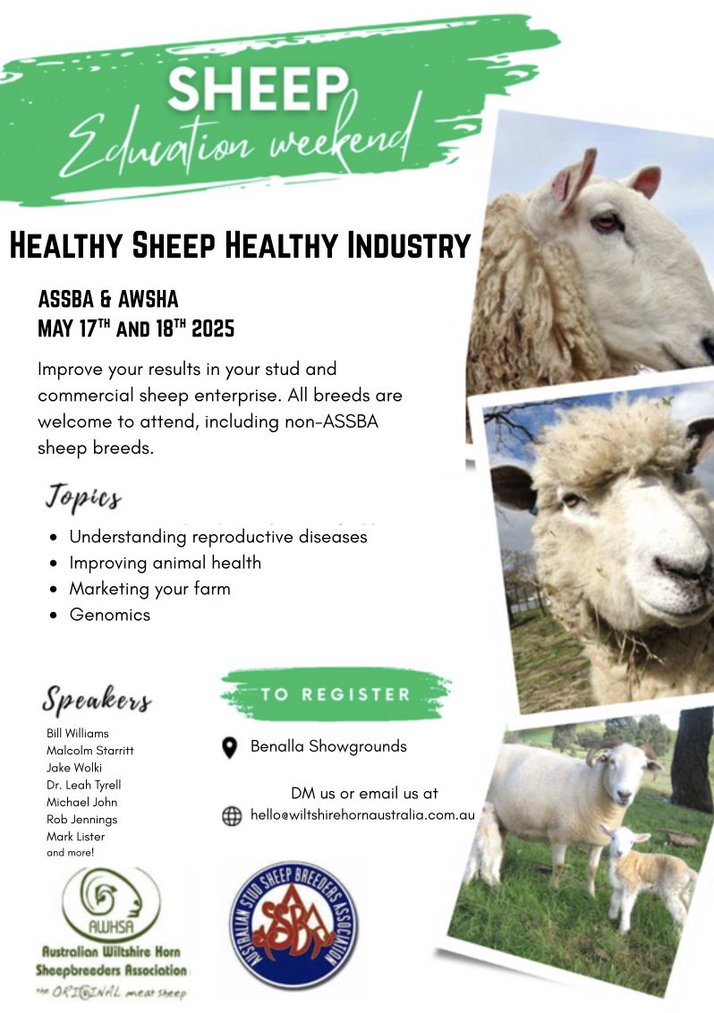 healthy-sheep-healthy-industry