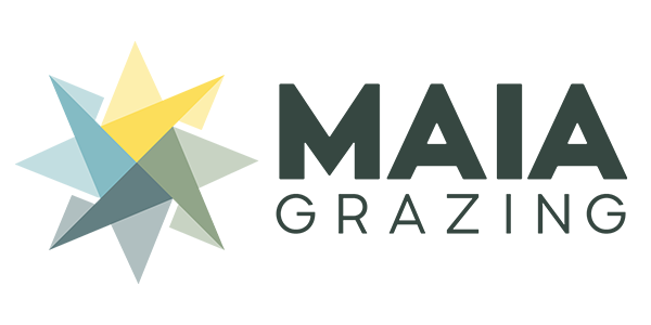 maia grazing