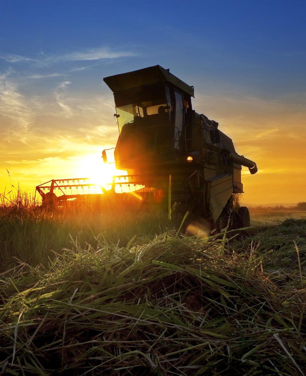 harvest farm table