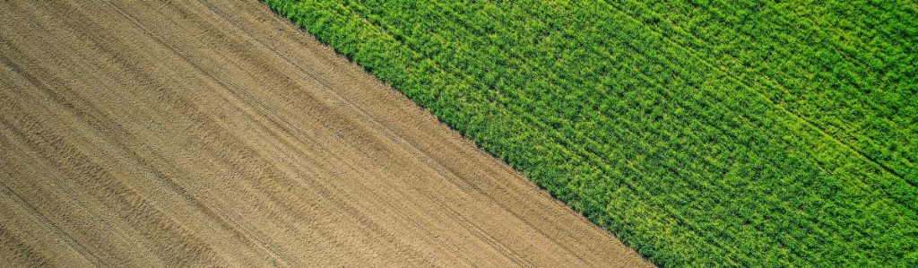 Sustainable agriculture practices in Australia 6 crop rotation Ag News Farm Table