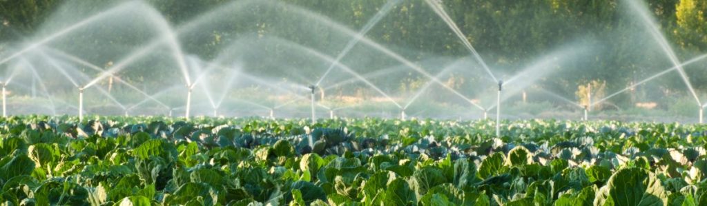 Sustainable agriculture practices in Australia 7 irrigation Ag News Farm Table