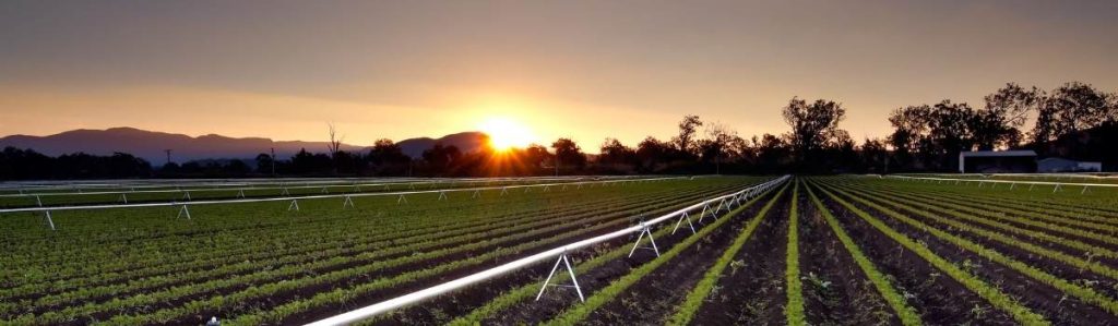 watering crops Ag News Farm Table