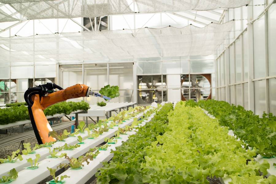 agricultrual-robots