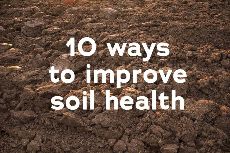 10 ways to improve soil health