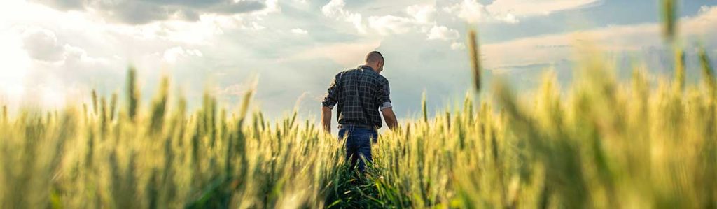 Climate-Smart Labelling: What you need to know 1 farmer in field