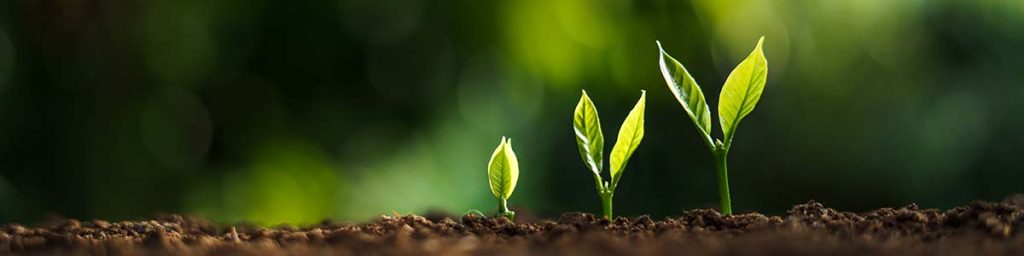 How Ag leaders build a growth mindset and lift productivity on the land 2 growth farm table