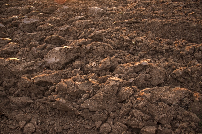 soil-health