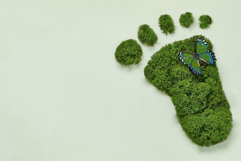 sustainability framework farm table