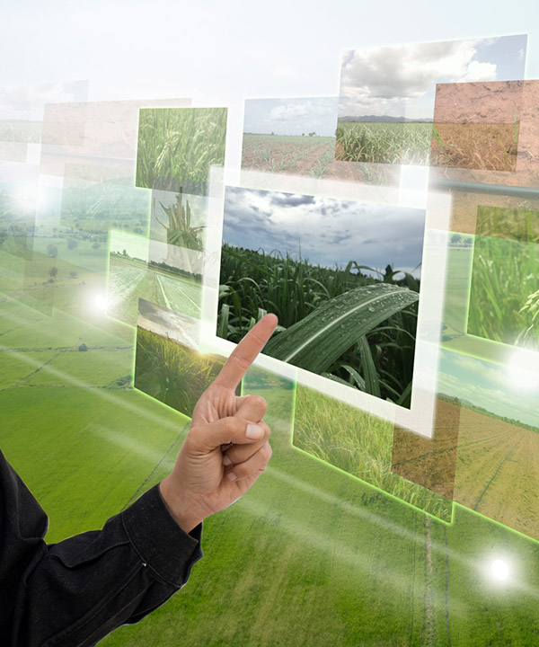 farm table