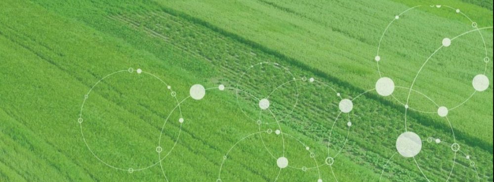 Qld Water Advisory Services